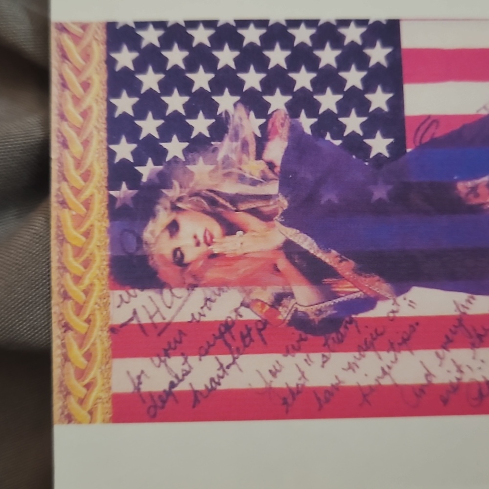 FREE Desert Stirm Stevie Nicks magnet  patriotic